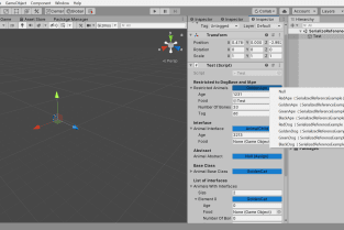 Unity_Serilize_reference